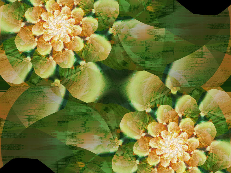 Digilili (169K)