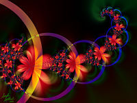 Tigerlilies