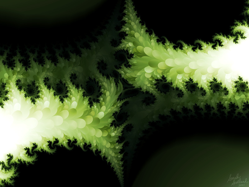 Persistence of Moss (132K)