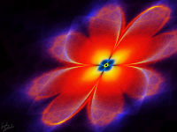 Halogen Flower