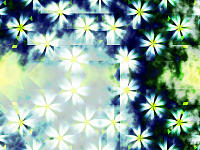 Storm Daisy